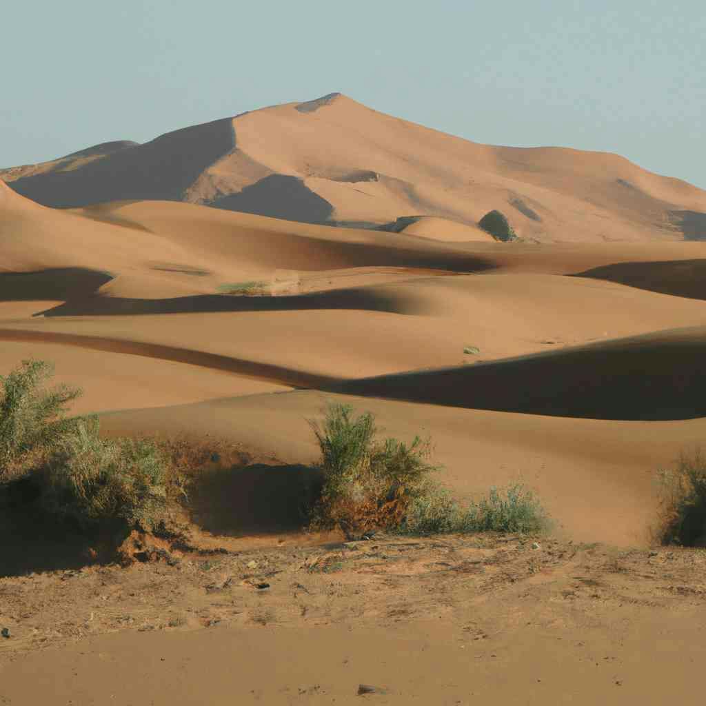 Post Image Explorez les charmes du désert lors d’une excursion inoubliable à Marrakech 0